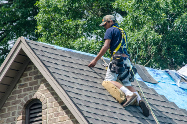 Best Residential Roofing Contractor  in Lincoln, MT